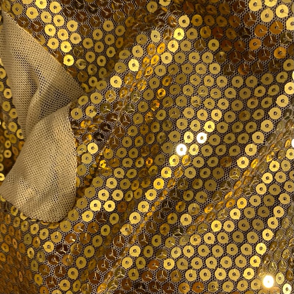 Gold Sequin Dress - Picture 6 of 7